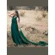 Designer Bottle Green Tail Gown